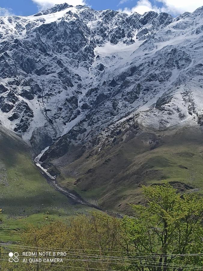 Crystal Kazbegi Hotel Ngoại thất bức ảnh